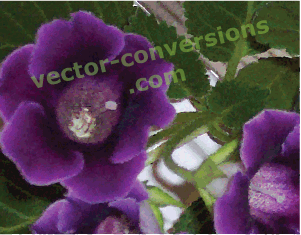 auto vector conversion to high resolution photo