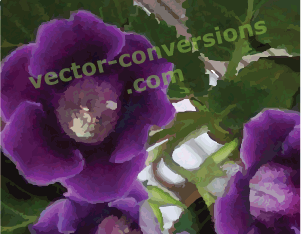 auto vector conversion to low resolution photo