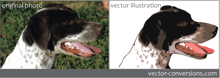 from photo to vector illustration