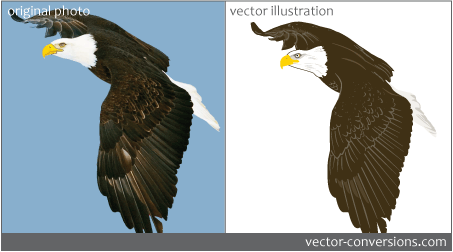 Sample of an eagle photograph redrawn as vector lineart using solid spot colors