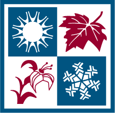 vector recreation