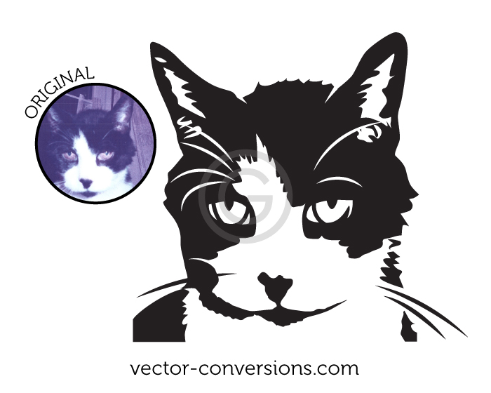 Single color vector graphic created based on a photograph