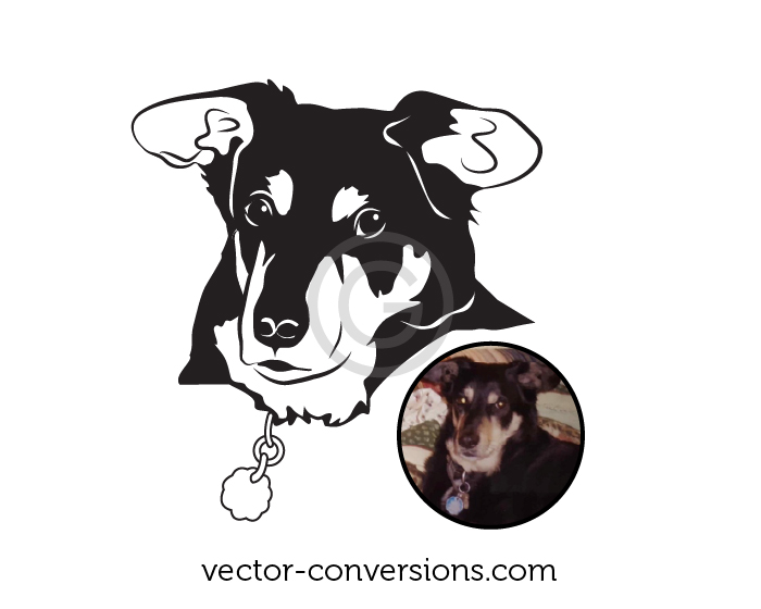 vector drawing of a dog based on a photo
