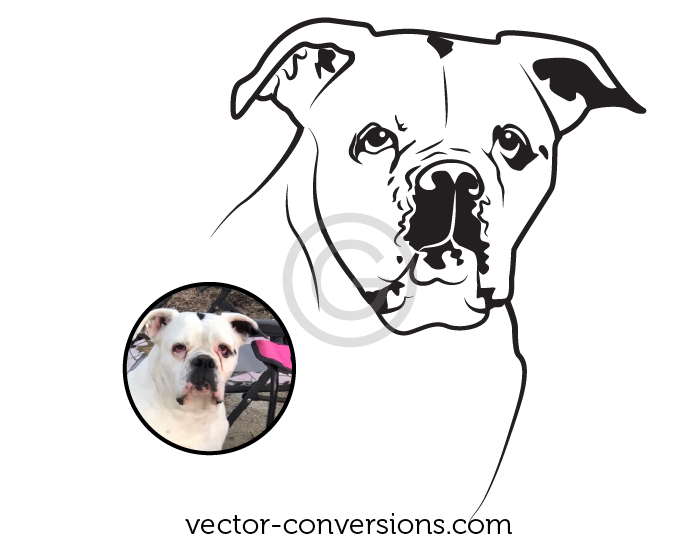 Photo-to-vector conversion of dog for rock carving