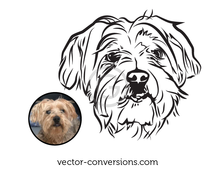 drawing of a dog based on a photograph