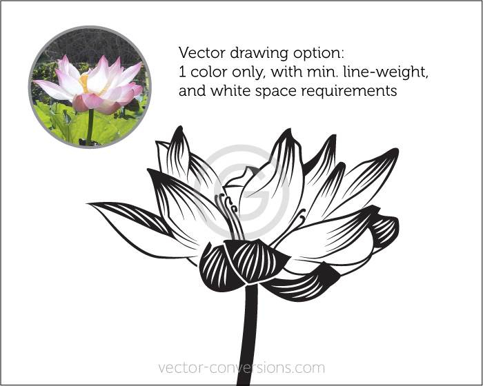 Vector Conversion Quote