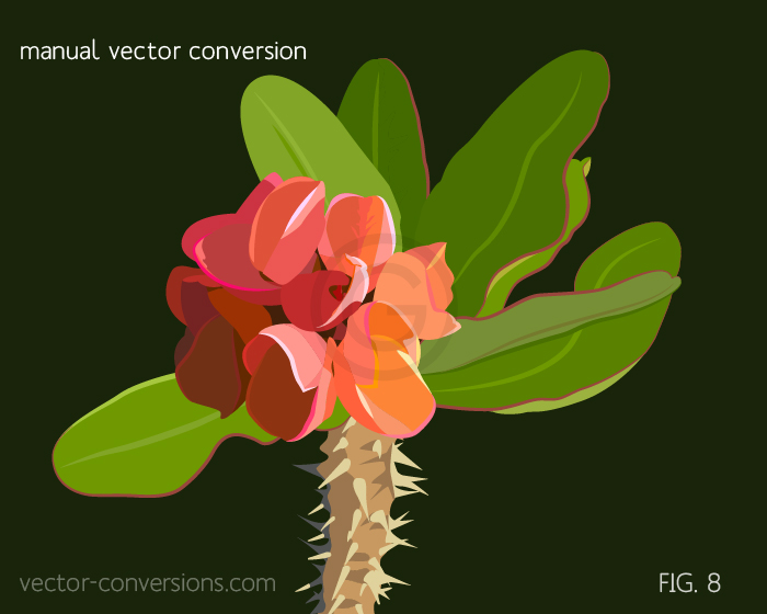 Vector conversion of a photograph