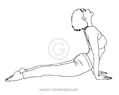 vector line drawing of a female exercising