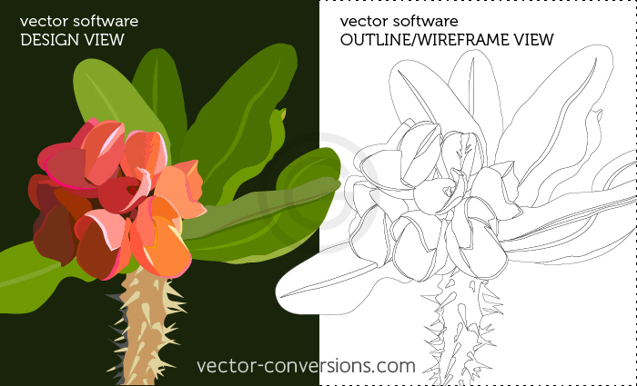 vector software design view and wireframe view