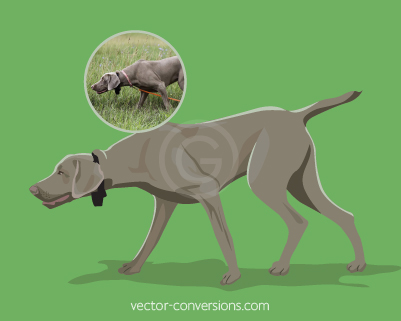 Vector conversion color drawing of dog for specialty promo items