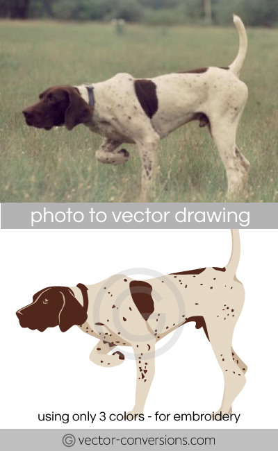Vectorization from photo to vector drawing