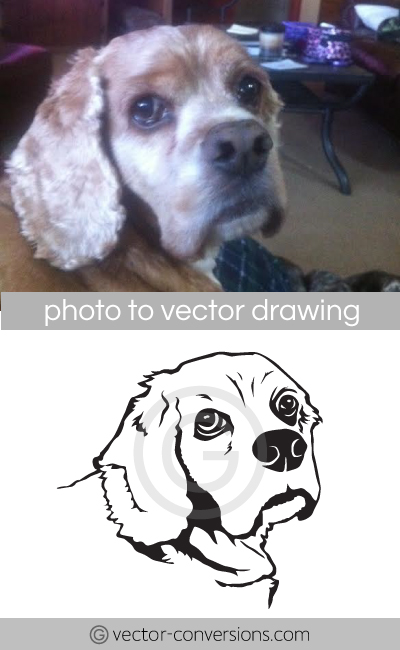 Vector line drawing of a dog