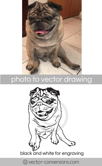 Photo to Vector conversion dog vector line art