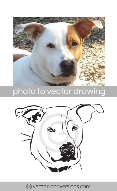 Vector drawing of a dog for a stone engraving