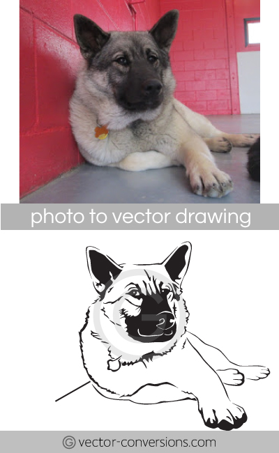 vector drawing of a dog