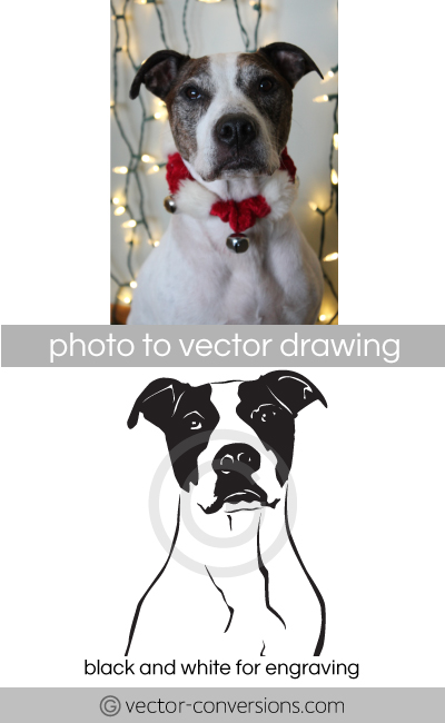 Vectorization vector line art