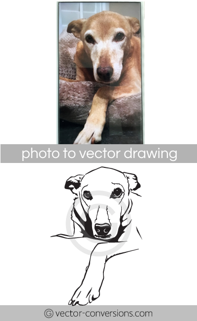 Vector line art drawing of a dog for engraving
