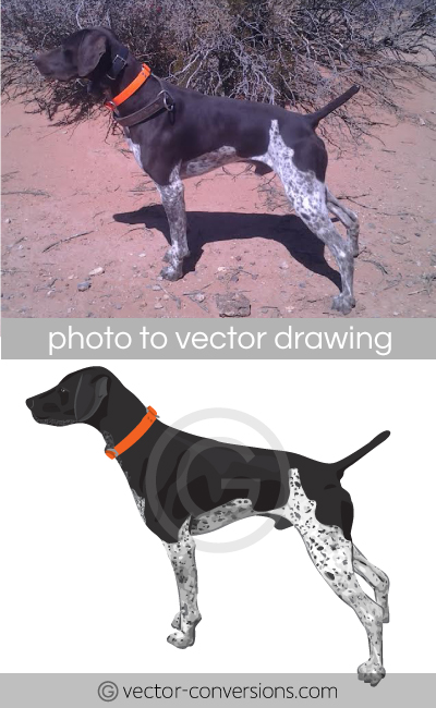 Vector Conversion from photo to vector illustration