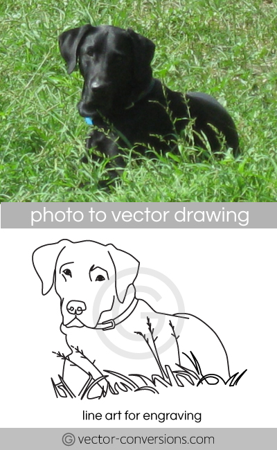 vector line art