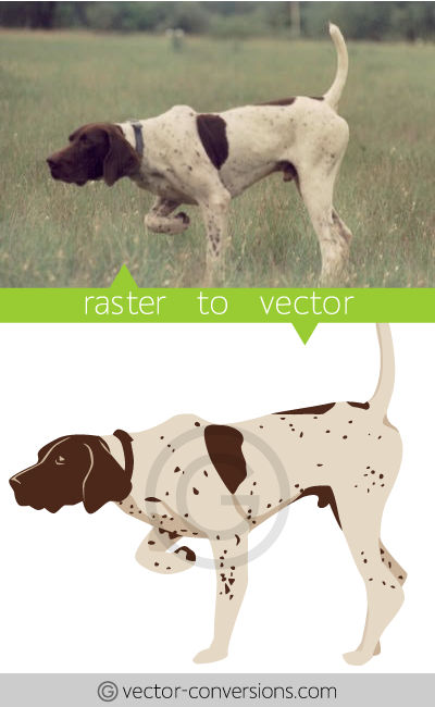 Vector drawing of a dog