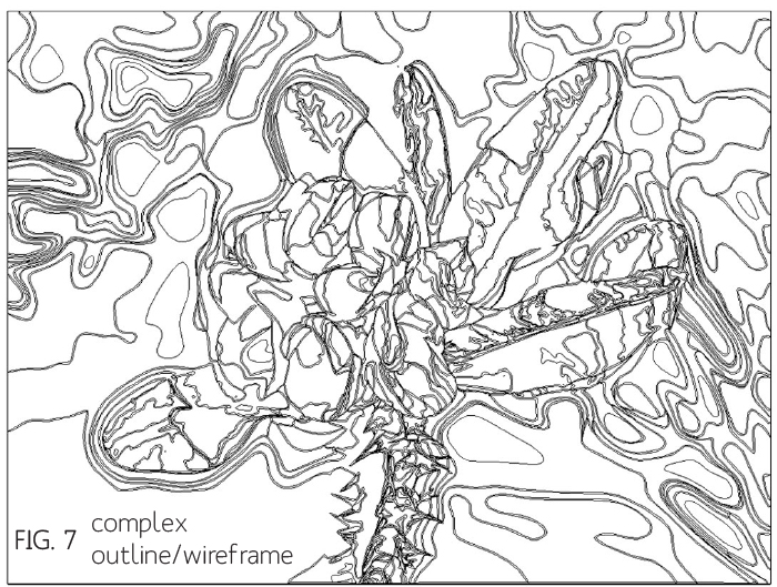 vector conversion outline wireframe