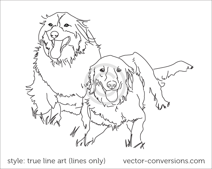 vector line art drawing using lines only