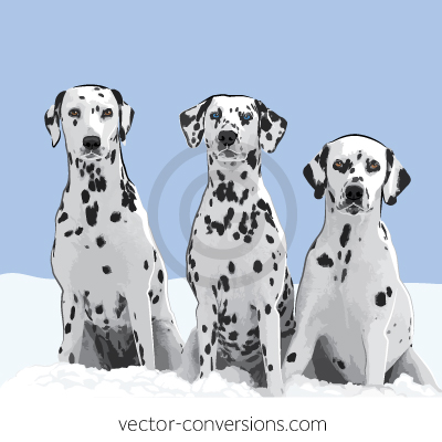Vector Dalmatian dogs