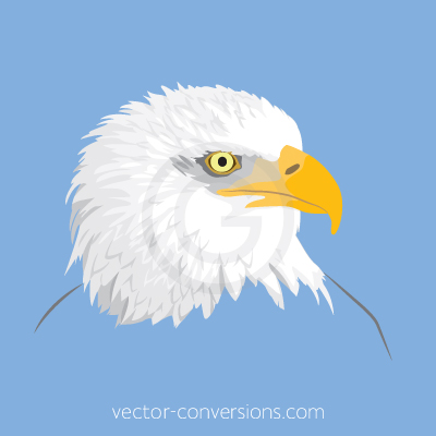 Vector eagle head clipart illustration drawing