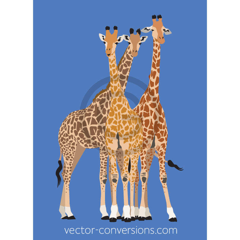 Vector Giraffes in Color