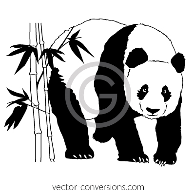 Vector panda Bear drawing illustration clipart