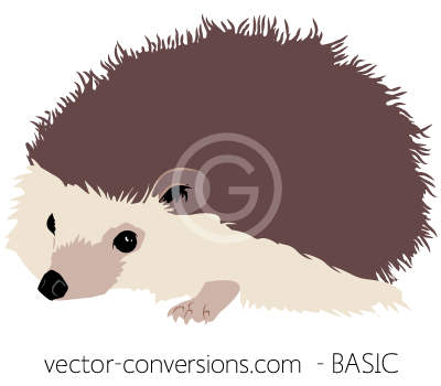 Redraw vector basic level of detail