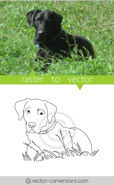 Vector Conversion from photo to vector lineart