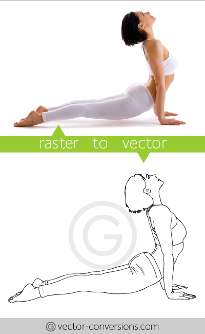 Vectorization sample from photo to vector drawing